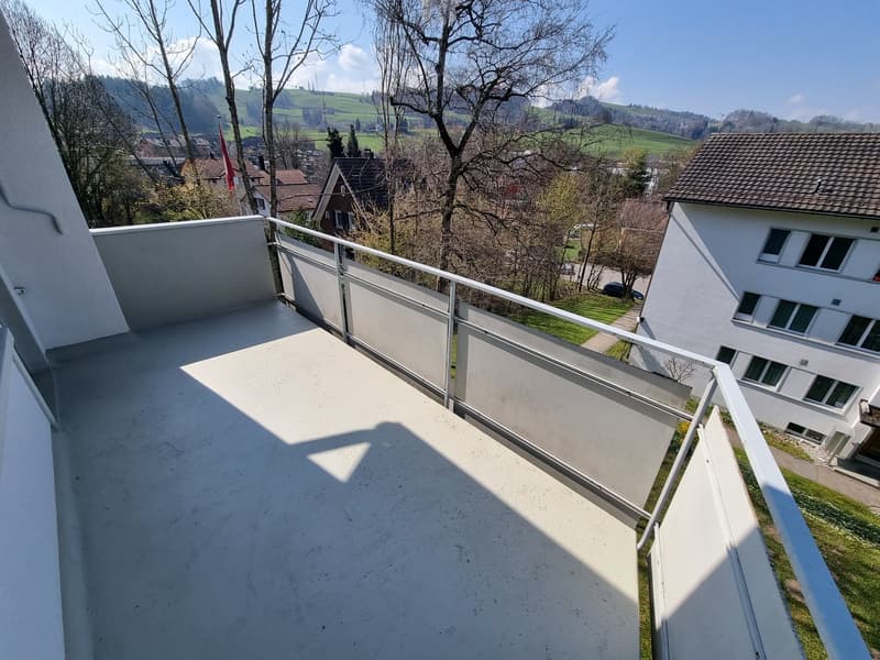 2.0 Zimmerwohnung in St. Gallen (3)