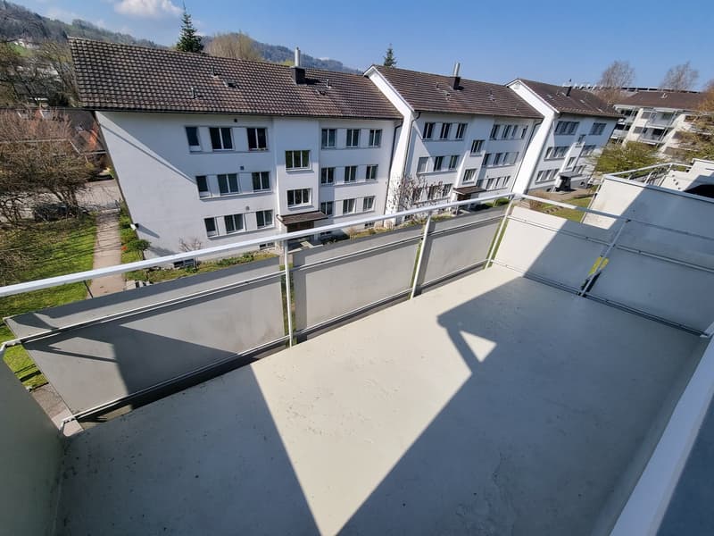 2.0 Zimmerwohnung in St. Gallen (4)