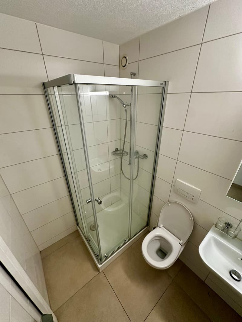Schöne 1.5-Zimmer-Wohnung im 1.OG, mit grossem Balkon in St. Gallen (5)