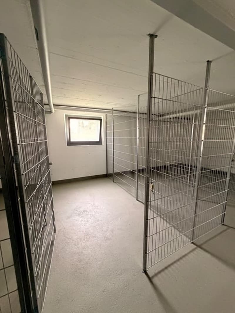 Erstvermietung nach Renovierung – Moderne 3.5-Zimmerwohnung in Trimbach (14)