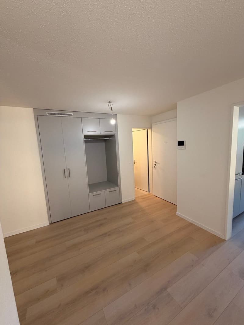Moderne 4.5-Zimmer-Wohnung in Au – sofort verfügbar! (10)