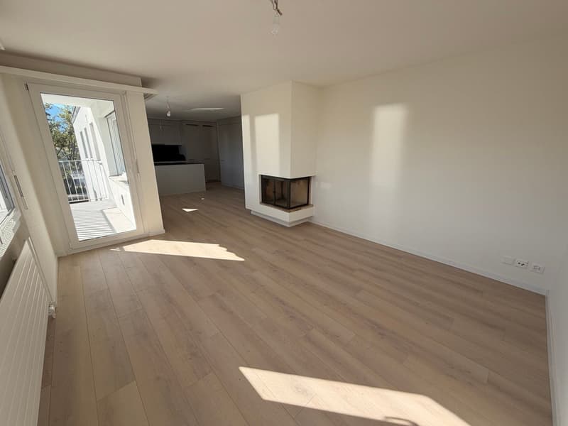Helle 3.5-Zimmer-Wohnung mit Balkon und Kamin in Au SG (2)