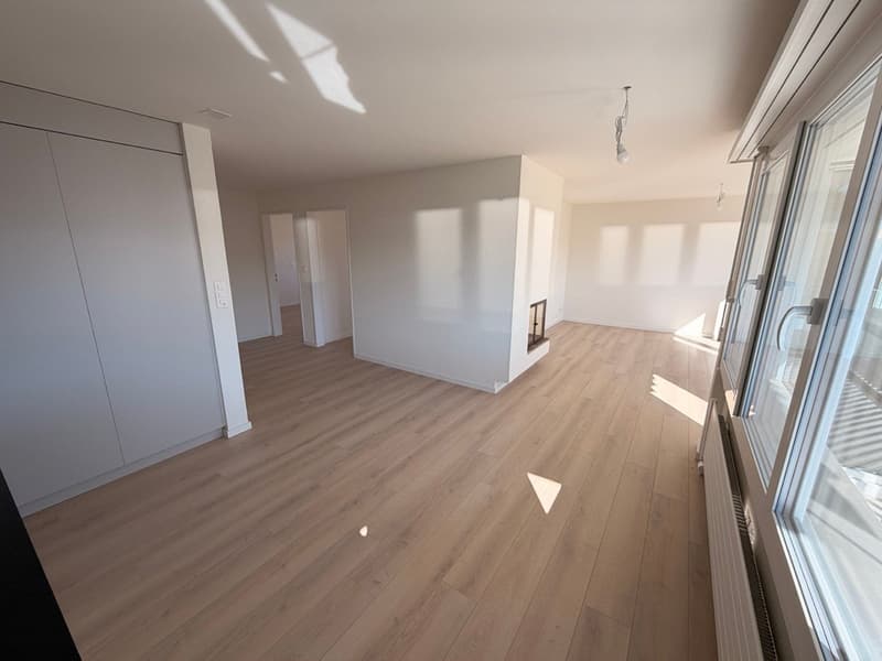 Helle 3.5-Zimmer-Wohnung mit Balkon und Kamin in Au SG (1)