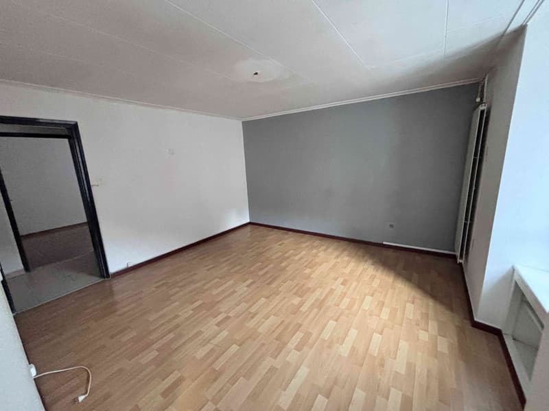 House for Sale - Gnosca (Bellinzona) (3)