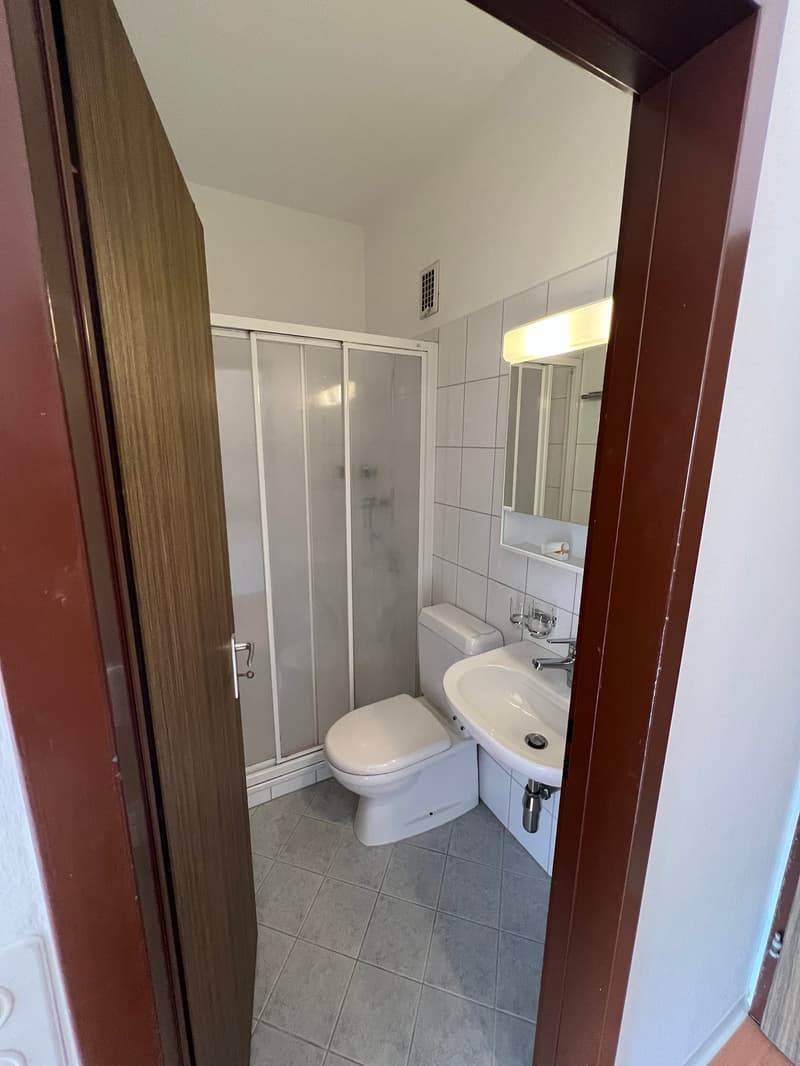 Miete in Bellinzona Nord, charmantes Einzimmerapartment (5)