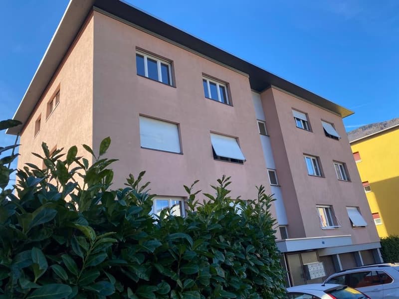 Miete in Bellinzona Nord, charmantes Einzimmerapartment (1)