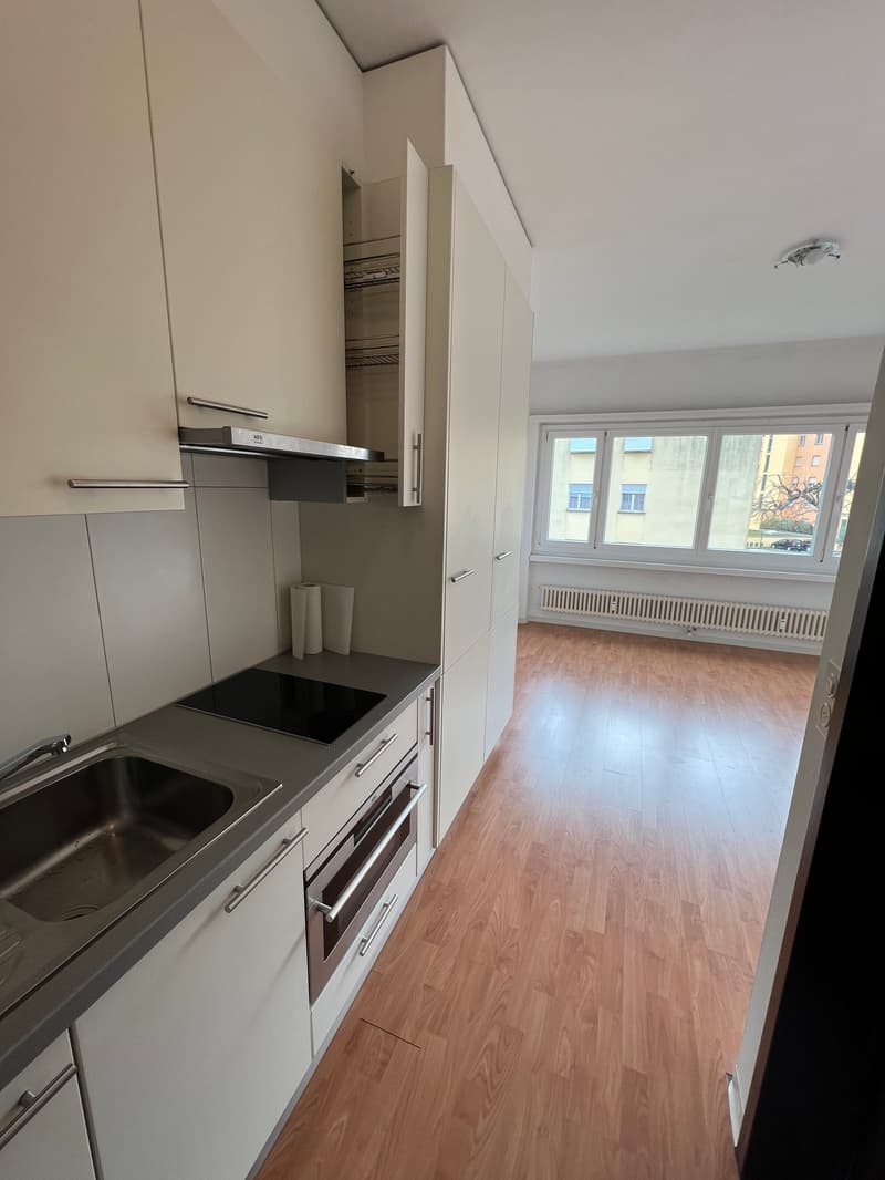 Miete in Bellinzona Nord, charmantes Einzimmerapartment (2)