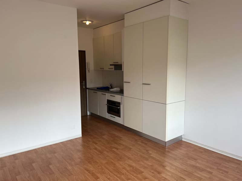 Miete in Bellinzona Nord, charmantes Einzimmerapartment (3)