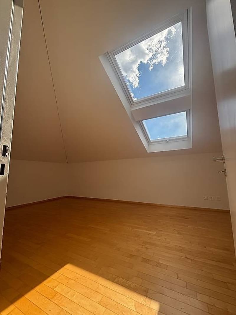Location - Splendide duplex de 4,5 pièces - Centre-ville de Bellinzone (10)