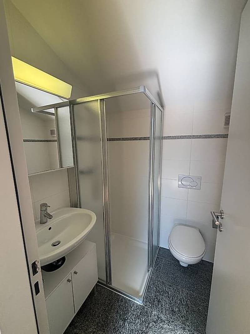 Location - Splendide duplex de 4,5 pièces - Centre-ville de Bellinzone (11)