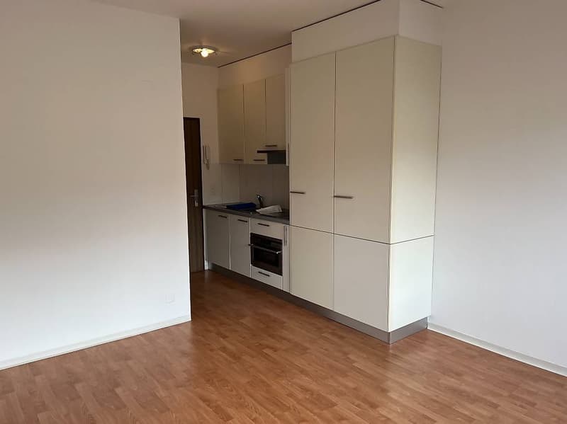 Mietet man in Bellinzona Nord ein charmantes Einzimmerapartment (3)