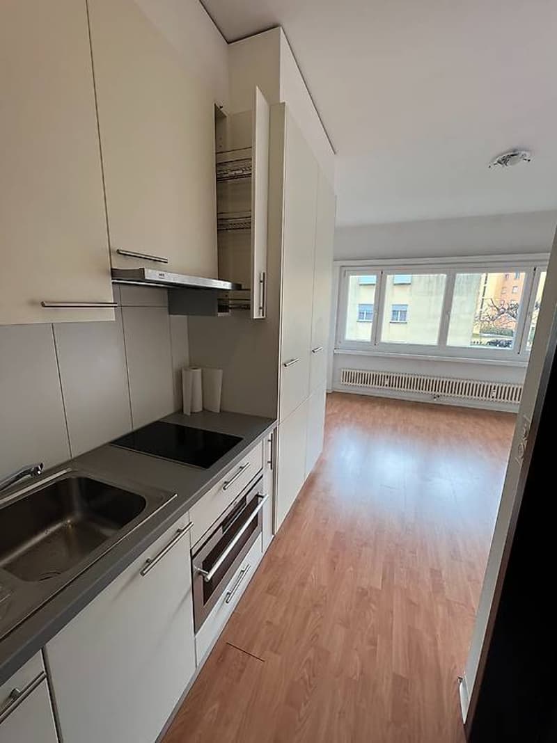 Mietet man in Bellinzona Nord ein charmantes Einzimmerapartment (2)