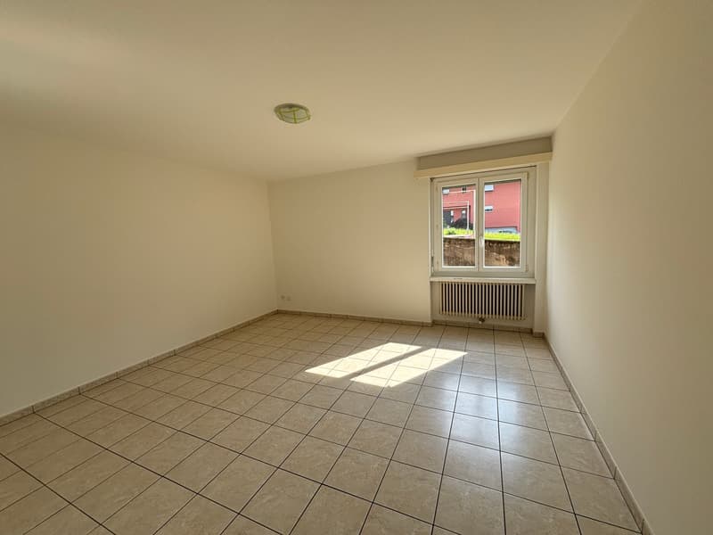 For rent in Arbedo spacious studio apartment on the ground floor (2)
