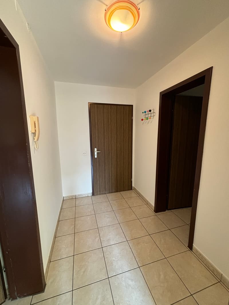 For rent in Arbedo spacious studio apartment on the ground floor (5)