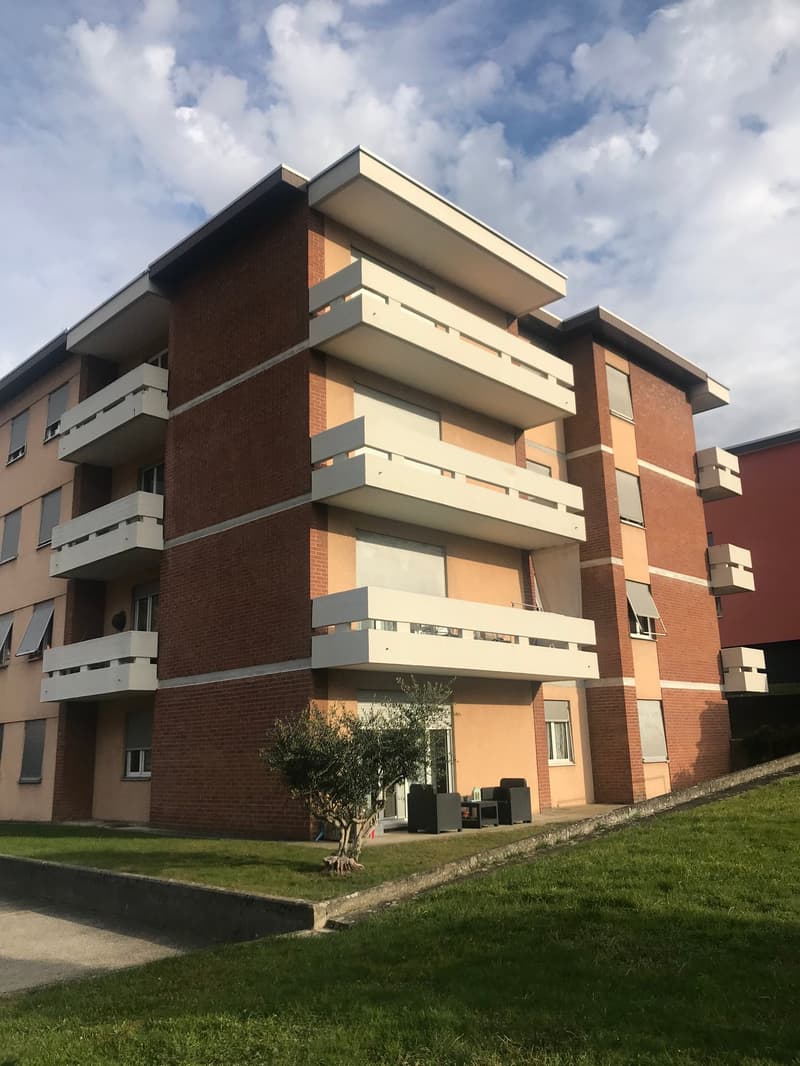For rent in Arbedo spacious studio apartment on the ground floor (1)
