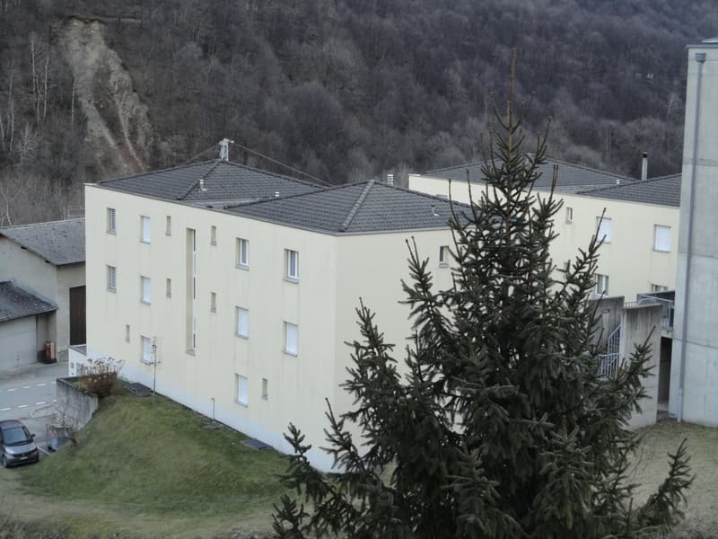 Zwei helle Apartments/Studios mit 4 Zimmern cada - Mesocco (3)