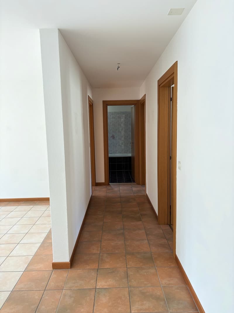 Zwei helle Apartments/Studios mit 4 Zimmern cada - Mesocco (9)