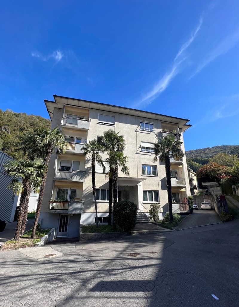 AFFITTASI A BELLINZONA LUMINOSO APPARTAMENTO DI 3.5 LOCALI (1)