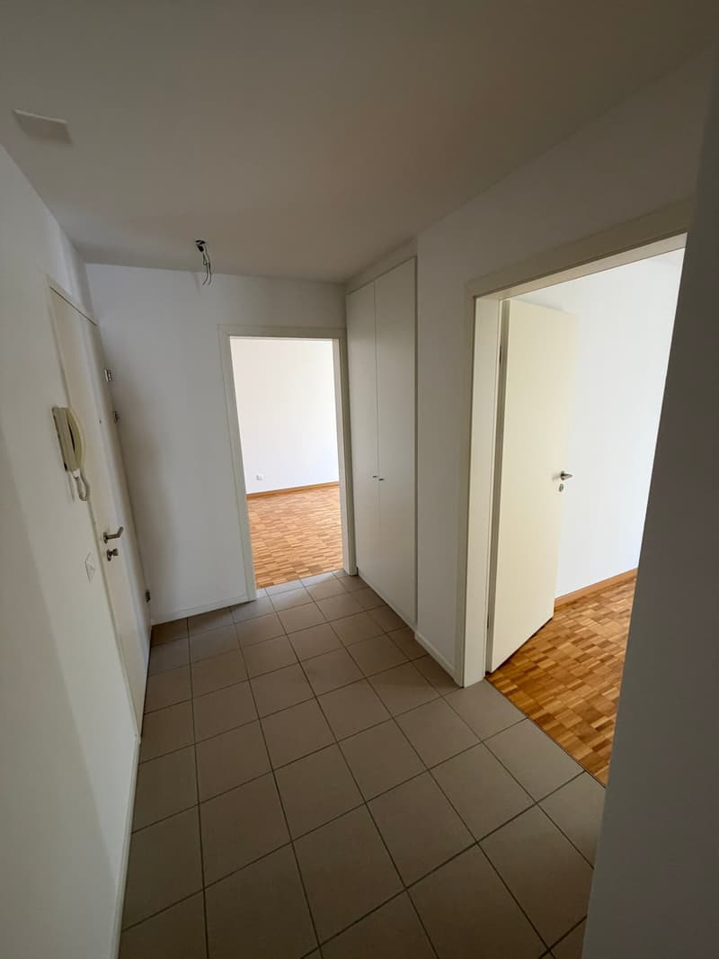 VENDESI LUMINOSO APPARTAMENTO 3.5 LOCALI - GIUBIASCO (12)