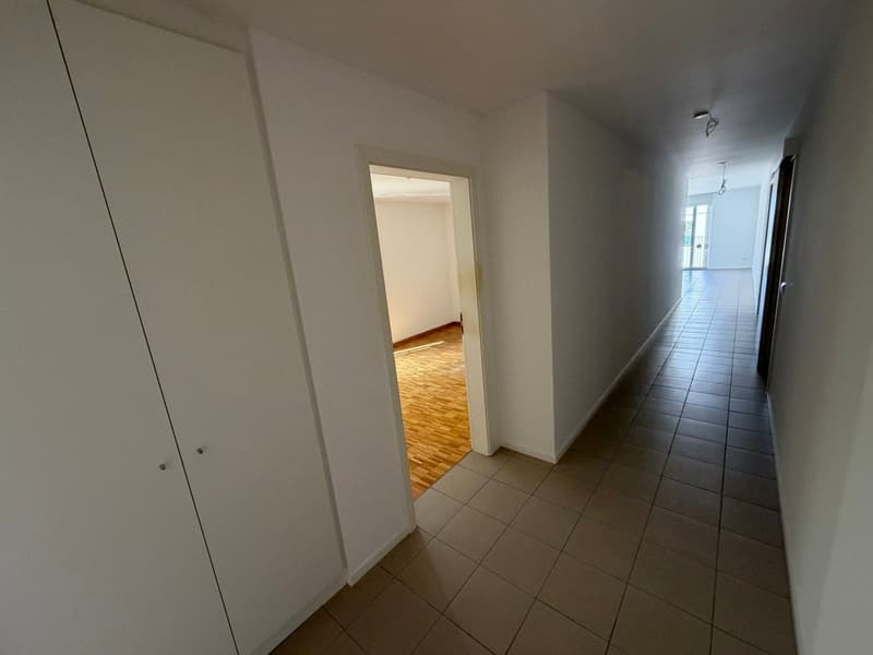 VENDESI LUMINOSO APPARTAMENTO 3.5 LOCALI - GIUBIASCO (13)