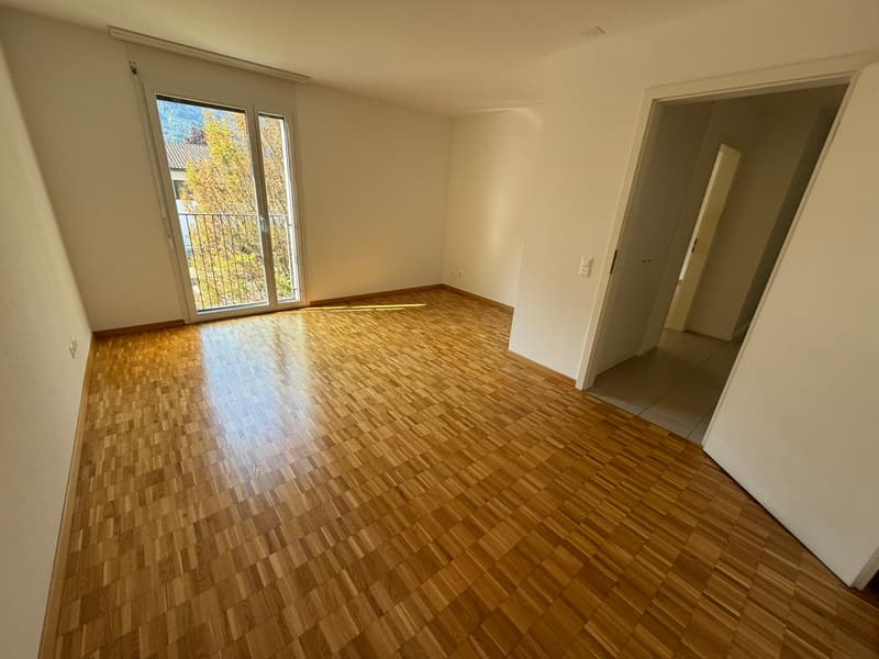 VENDESI LUMINOSO APPARTAMENTO 3.5 LOCALI - GIUBIASCO (11)