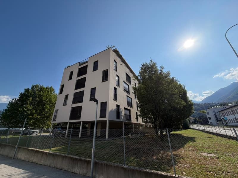 VENDESI LUMINOSO APPARTAMENTO 3.5 LOCALI - GIUBIASCO (3)