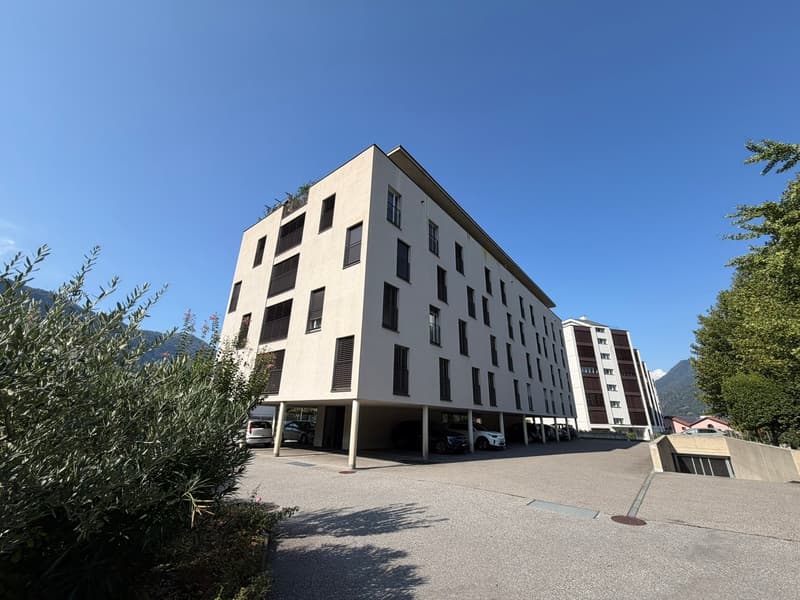 VENDESI LUMINOSO APPARTAMENTO 3.5 LOCALI - GIUBIASCO (1)