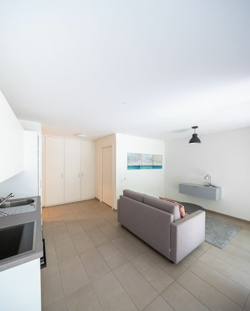 0090,Gordola,Residenza al Riale C copia, appartamento no.0205 (6)