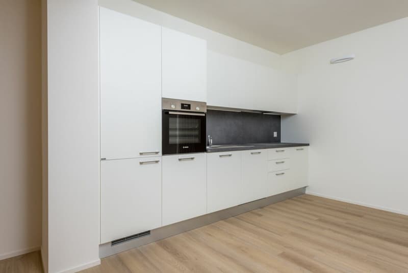 1500, Via delle Aie, Lugano, chambre étudiante 1006-EN (4)