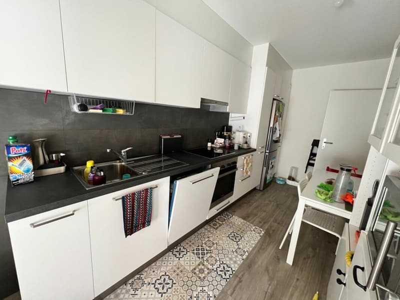 100, Mendrisio, Via Borromini 21, appartamento 413 (2)