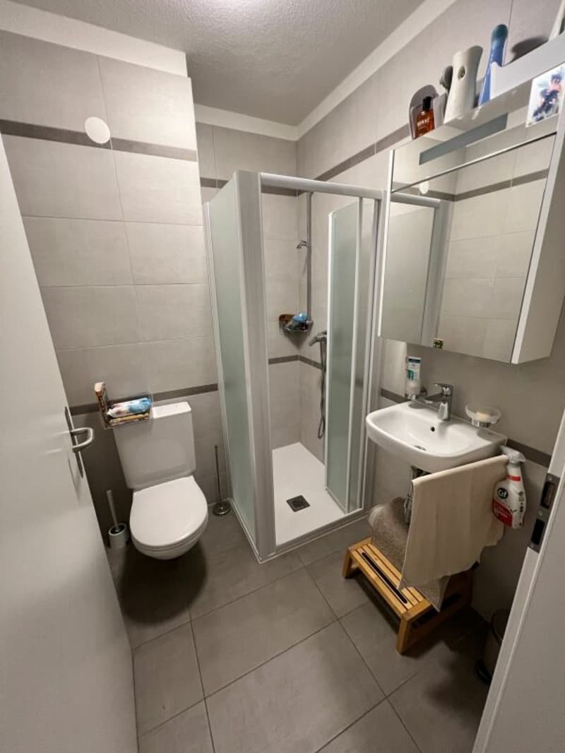 100, Mendrisio, Via Borromini 21, appartamento 413 (13)