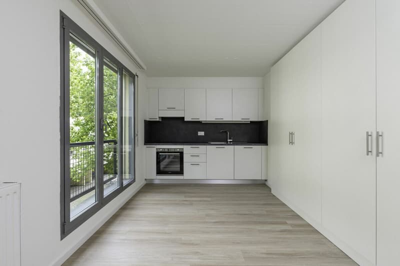 3000, Biasca, Via Case Tinetti 6, Apartment 218 (2)