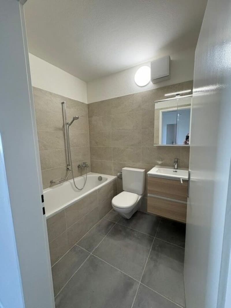 8100 Novazzano, Via Ronco 2, appartamento 623 (11)