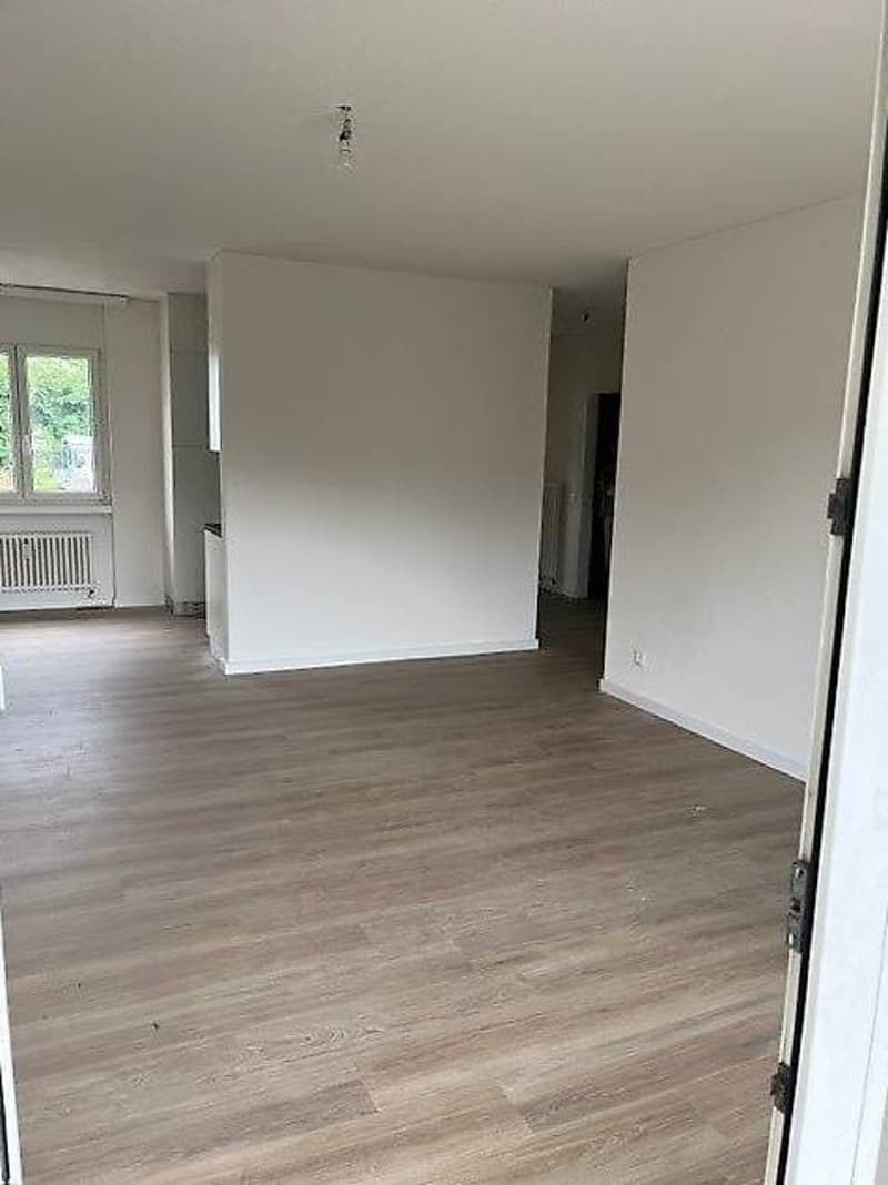 Appartamento renoviert mit Anschluss für Waschmaschine (5)