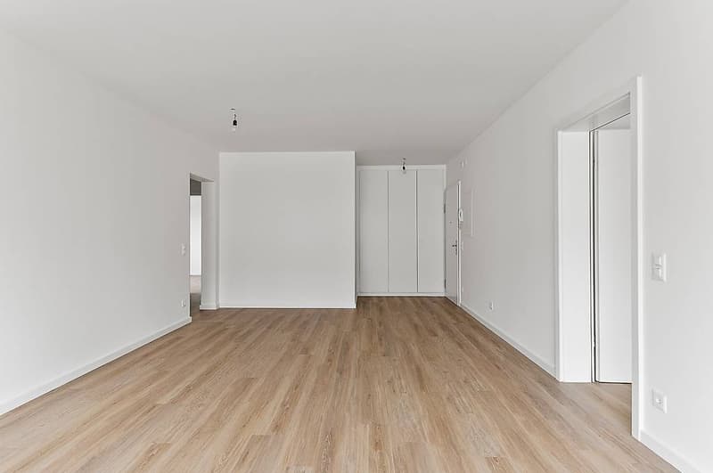 Spacious Apartment (3)