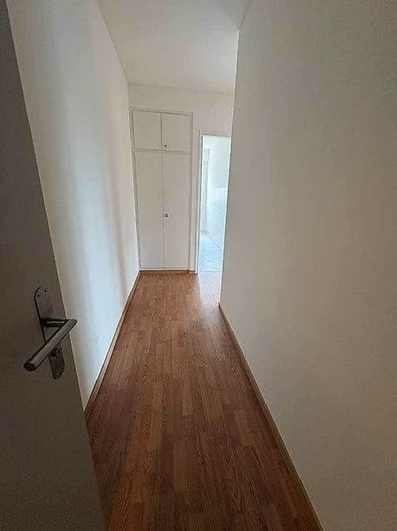 2.5-room apartment on the 1st floor (3)