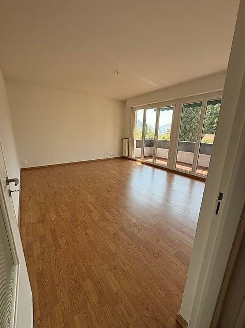 2.5-room apartment on the 1st floor (2)