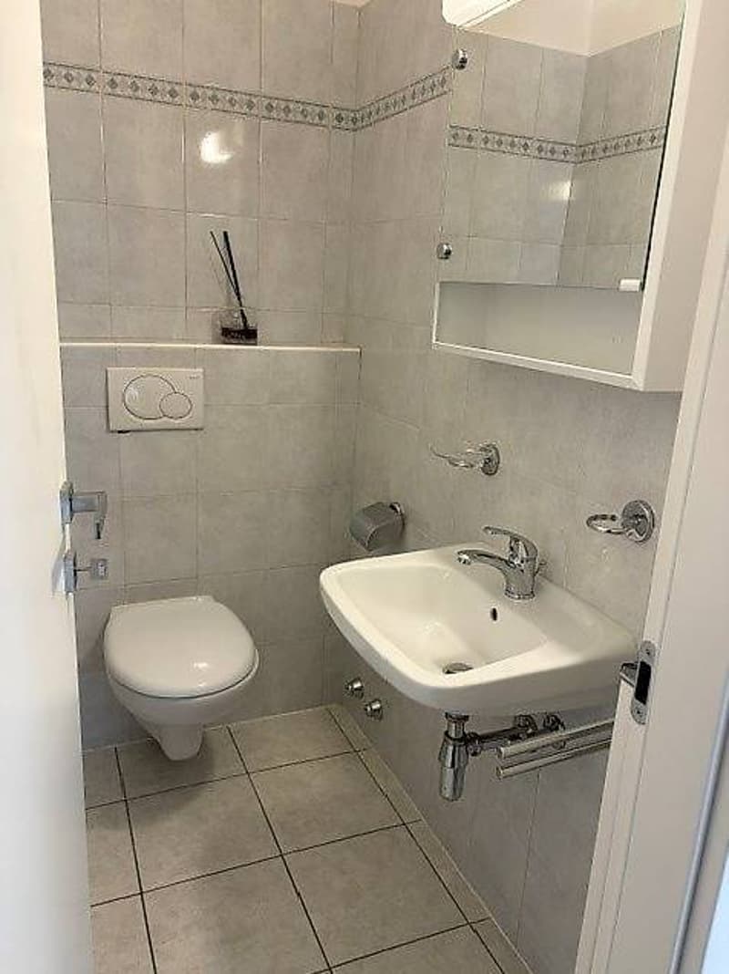 3.5 room apartment on the 6th floor (9)