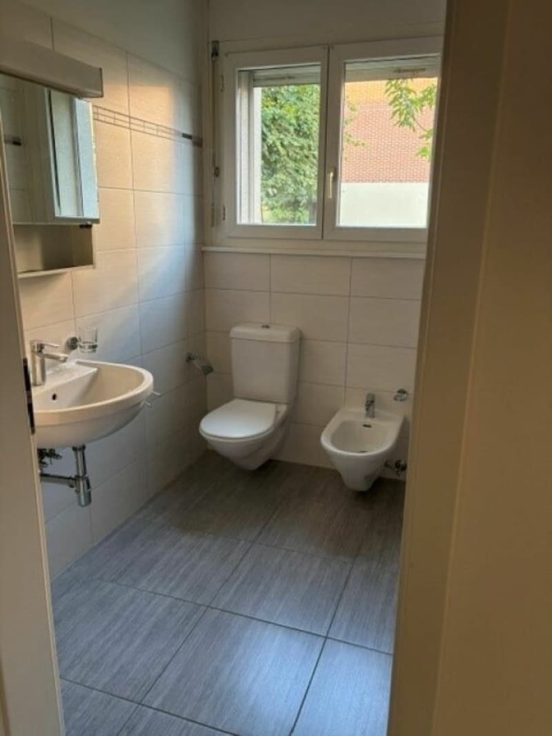 0100, Mendrisio, Via Borromini 19, Apartment Nr. 301 (8)