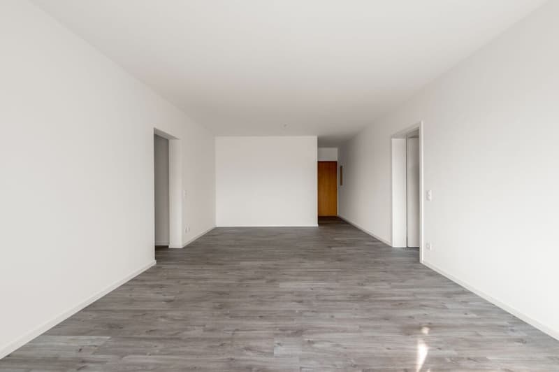 100, Mendrisio, Via Borromini 21, appartamento no. 441 (10)