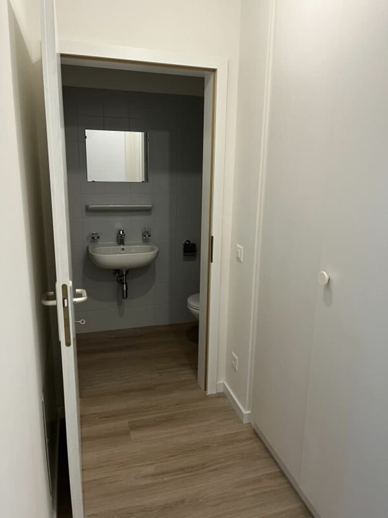 0100, Mendrisio, Via Borromini 19, appartamento 341 (9)