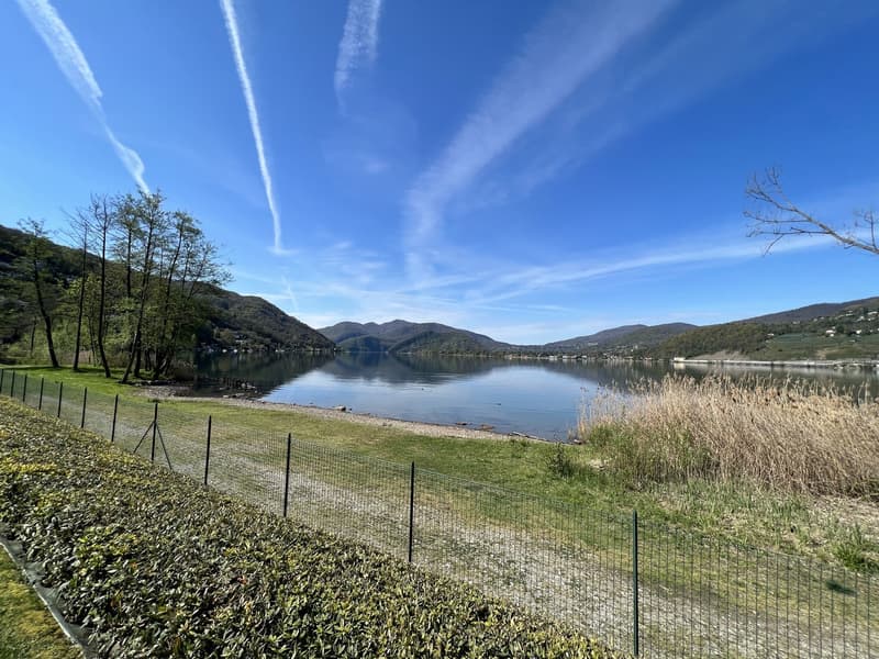 LUGANO-MUZZANO, FRONTE LAGO APPARTAMENTO 2.5 LOCALI CON GIARDINO (4)
