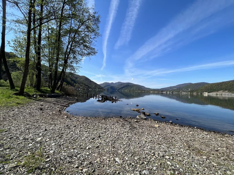 LUGANO-MUZZANO, FRONTE LAGO APPARTAMENTO 2.5 LOCALI CON GIARDINO (12)