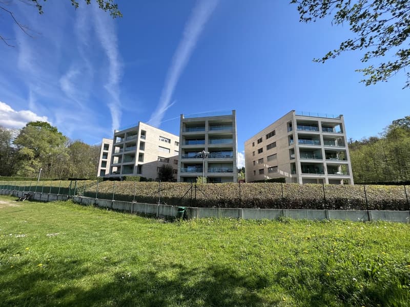 vista dal lago