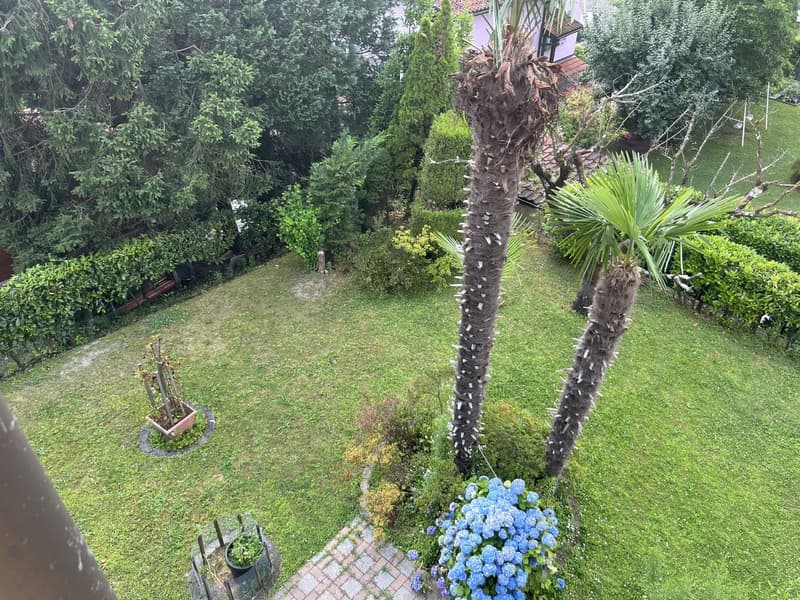 CADRO - LUGANO Single-family house 5.5 rooms with garden (2)