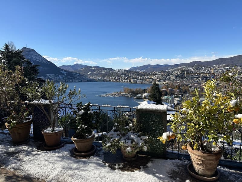 RUVIGLIANA, in casa d'epoca Appartamento 3.5 locali vista lago (7)