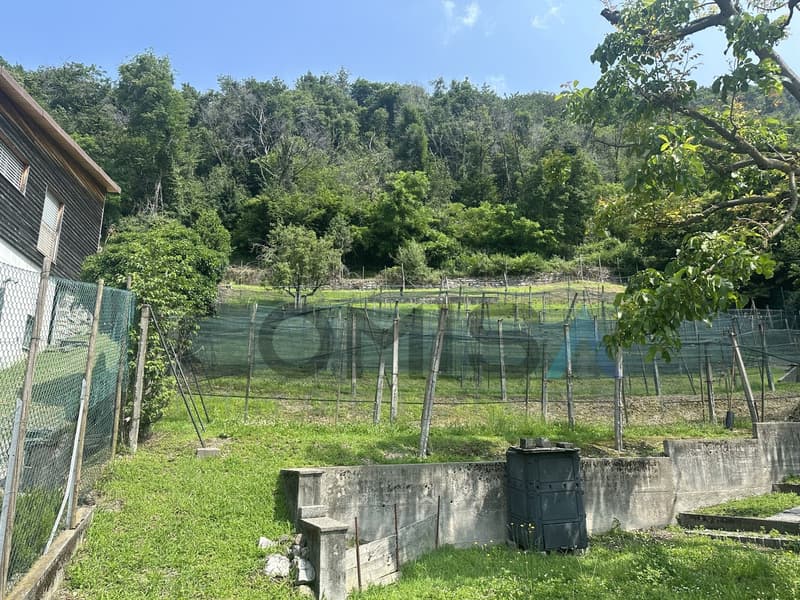 CASTEL SAN PIETRO - OBINO Building land with rustic house (2)
