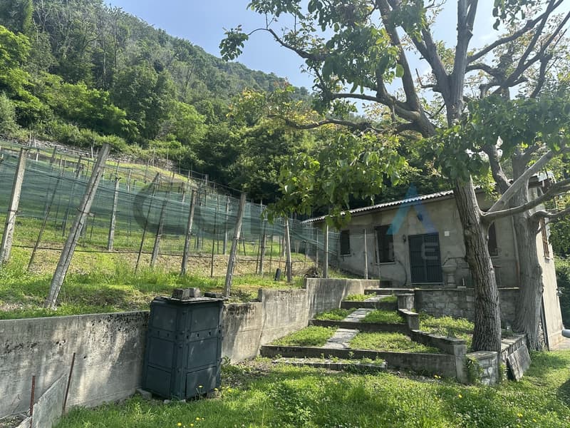 CASTEL SAN PIETRO - OBINO Building land with rustic house (3)