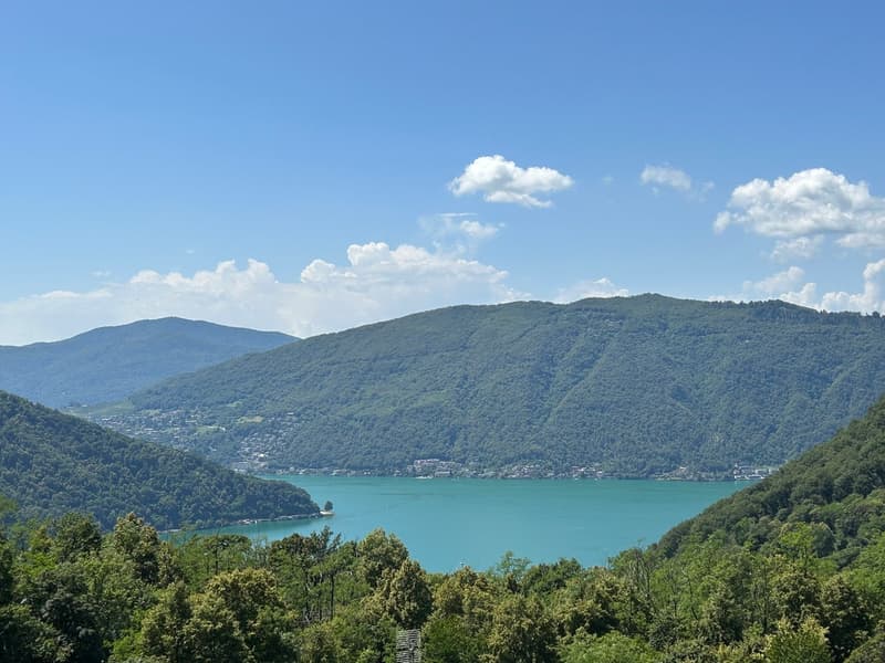 vista lago