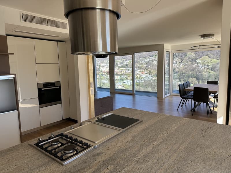 cucina moderna aperta sul soggiorno / moderne, zum Wohnzimmer hin offene Küche / modern kitchen open to the living room